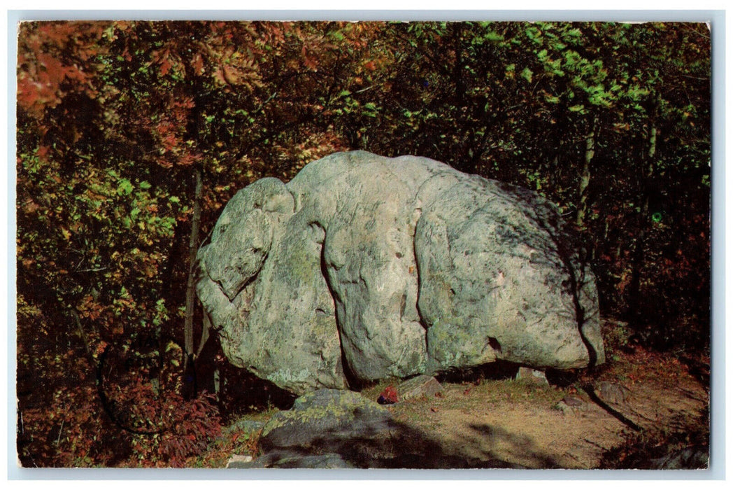 c1960's Elephant Rock, Devil's Lake State Park Wisconsin WI Vintage Postcard