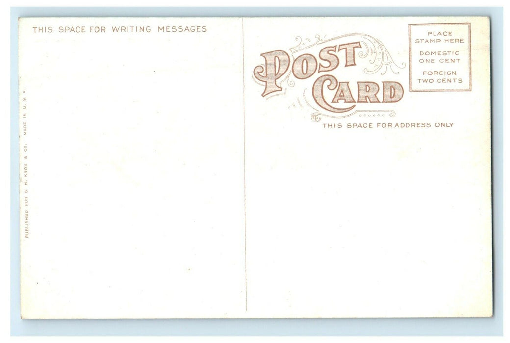 c1910's Government Building Horse And Buggy Quincy Illinois IL Antique Postcard