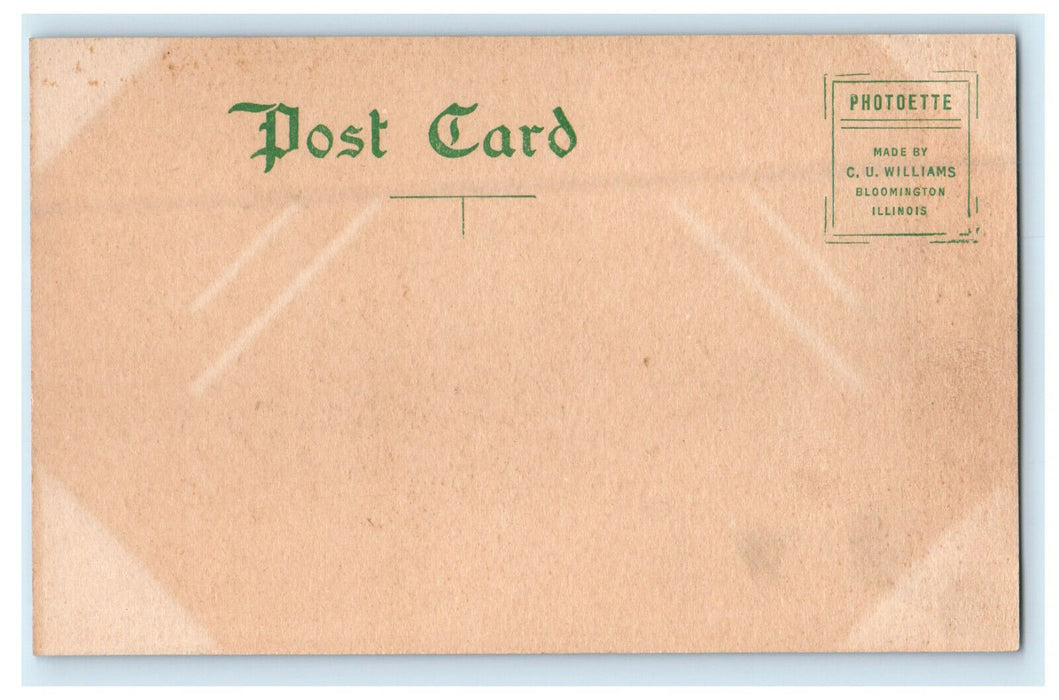 c1910s Buena Vista County Court House, Storm Lake Iowa IA Unposted Postcard