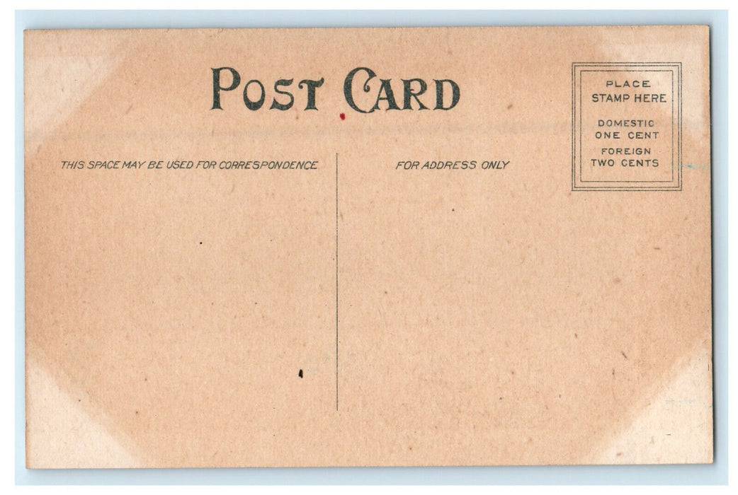 c1910 Library Building Oregon Illinois IL Unposted Postcard