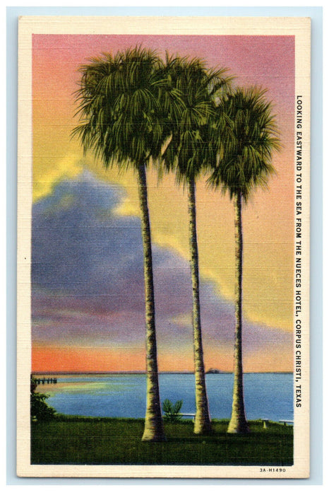 c1940s Looking Eastward to the Sea, Corpus Christi, Texas TX Unposted Postcard