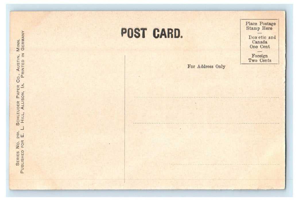 c1910s Butler Court House, Allison, Iowa IA Antique Unposted Postcard