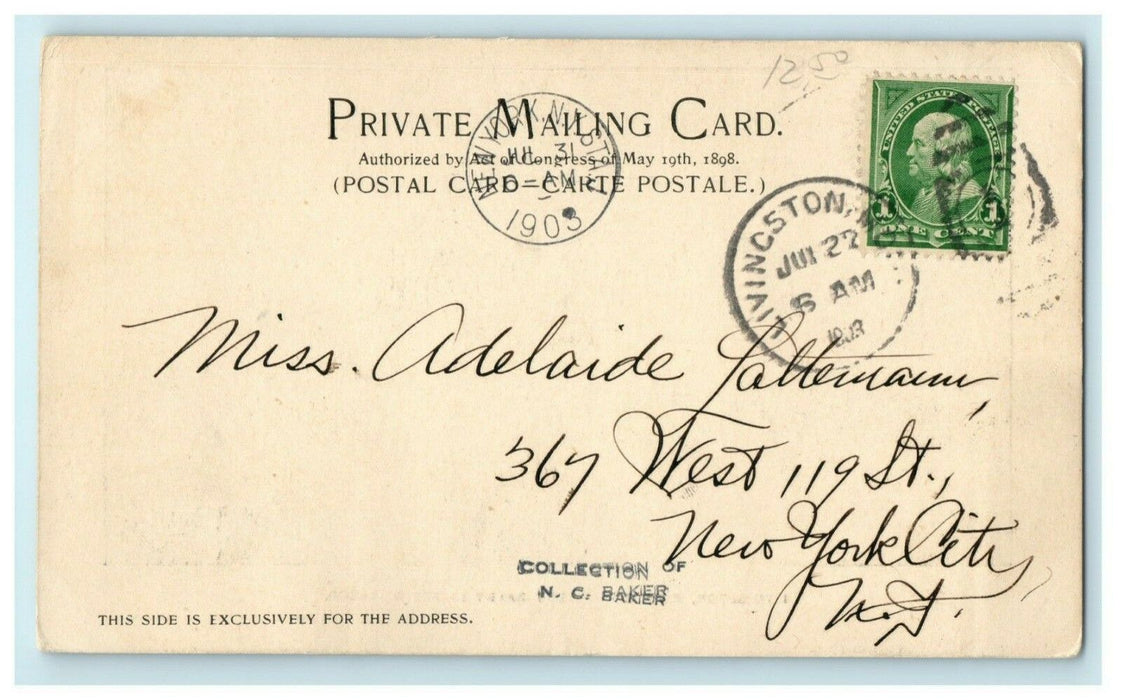 1903 Mount Baldy Livingston Montana MT N.C. Baker Posted Antique Postcard