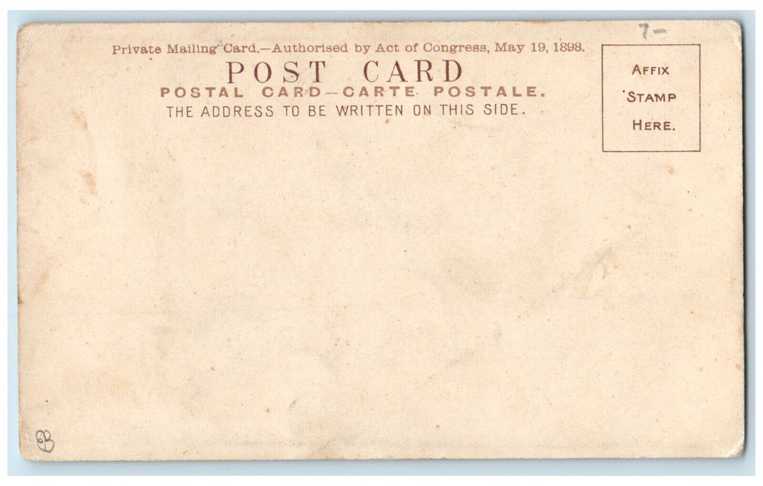 White Star Line R.M.S. Oceanic Services To New York South Africa Postcard