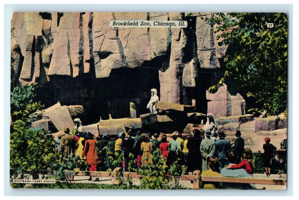 c1940's Brookfield Zoo Chicago Illinois IL Kaufmann Fabby Photo Postcard