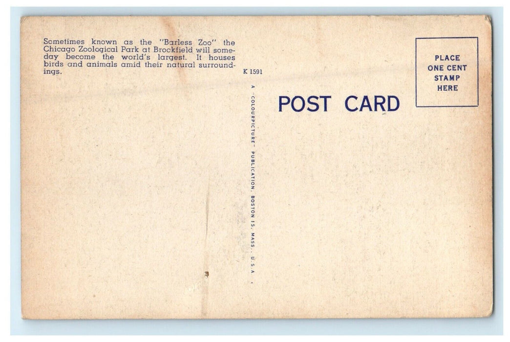 c1940's Brookfield Zoo Chicago Illinois IL Kaufmann Fabby Photo Postcard