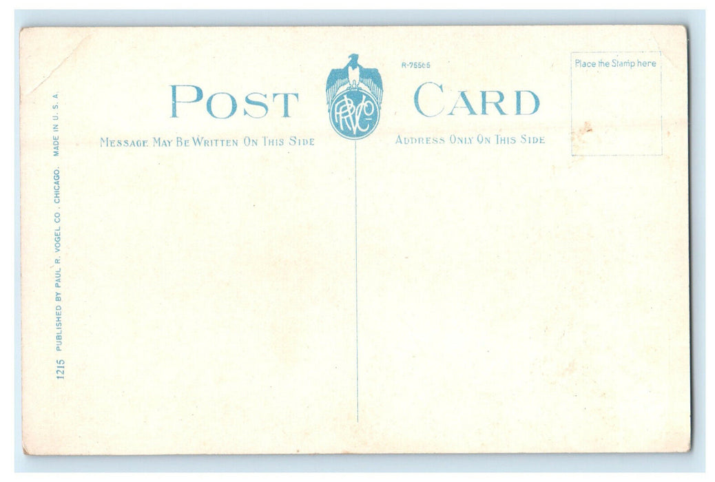 c1920s Cars Scene, Hotel Custer, Galesburg Illinois IL Unposted Postcard