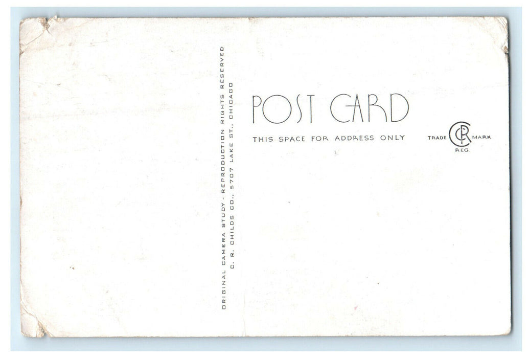c1940s The Wishing Well, Illinois White Pines Forest State Park Postcard
