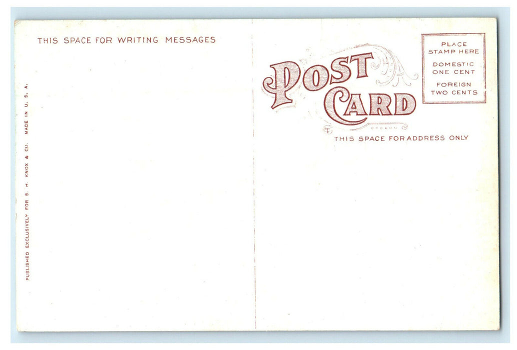 c1920 Withers Public Library Bloomington Illinois IL Unposted Postcard