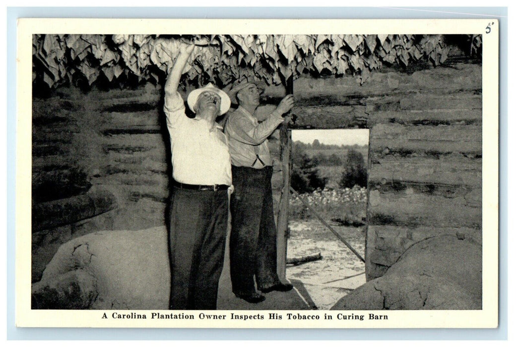 c1940’s Carolina Tobacco Harvesting Inspection Barn North Carolina NC Postcard