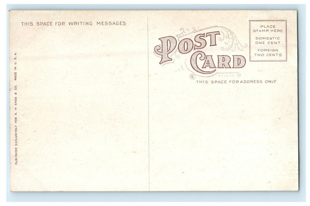c1910's New Y. M. C. A Building Street View Bloomington Illinois IL Postcard
