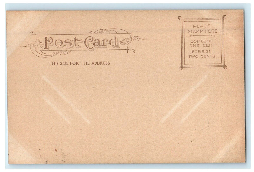c1905 Masonic Library Street View Cedar Rapids Iowa IA Antique Postcard