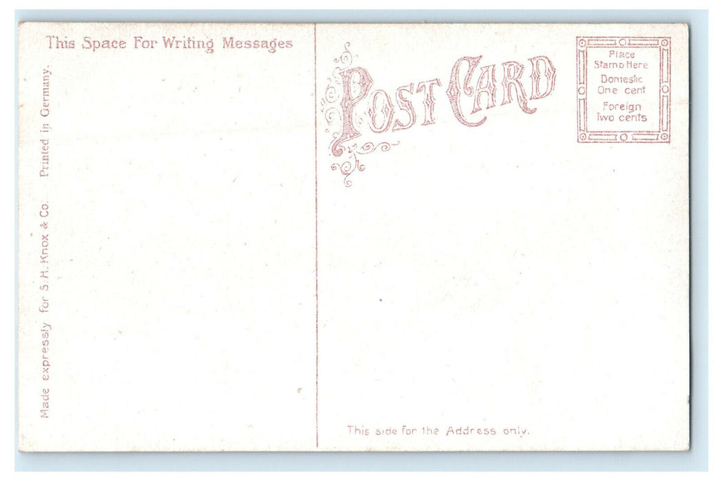 c1910s Court House Terre Haute Indiana IN Antique Unposted Postcard