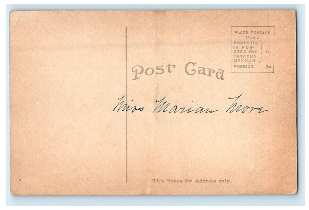 c1910's View Of New Fox Street Bridge Aurora Illinois IL Antique Postcard