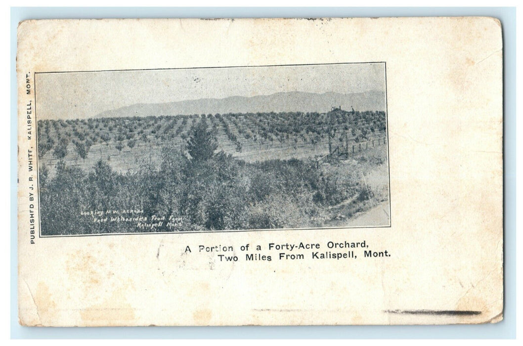 1906 40 Acre Orchard Kalispell Montana MT Keokuk Iowa Posted Antique Postcard