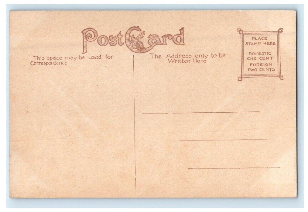 c1910's Webster County Court House Fort Dodge Iowa IA Antique Postcard