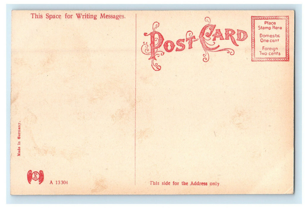 c1910 Public Library Mattoon Illinois IL Antique Unposted Postcard