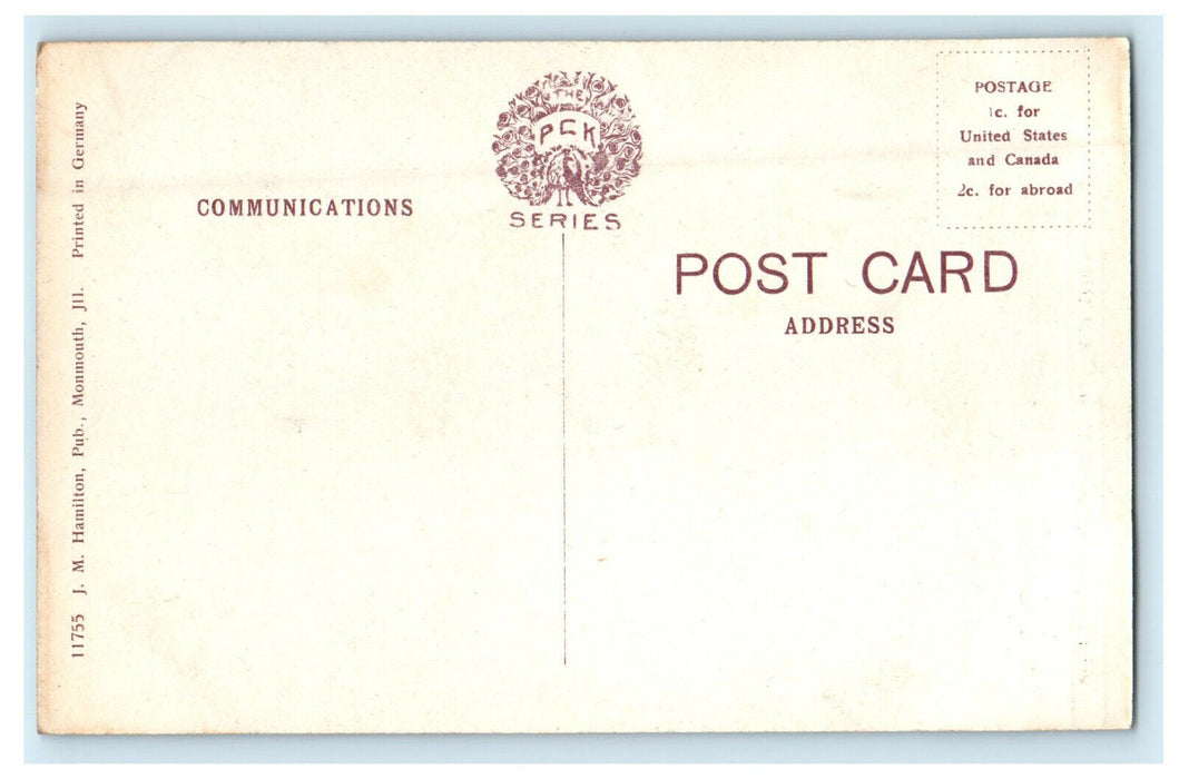 c1910s Mercer County Court House, Aledo Illinois IL Unposted Postcard