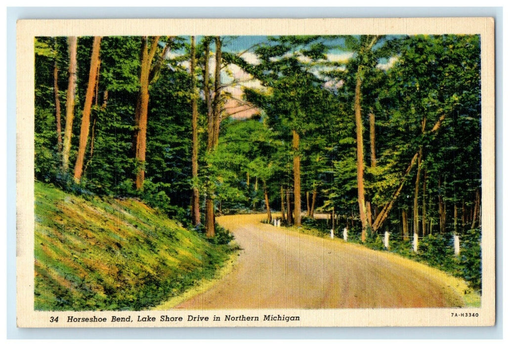 c1930's Horseshoe Bend Lake Shore Drive In Northern Michigan MI Postcard