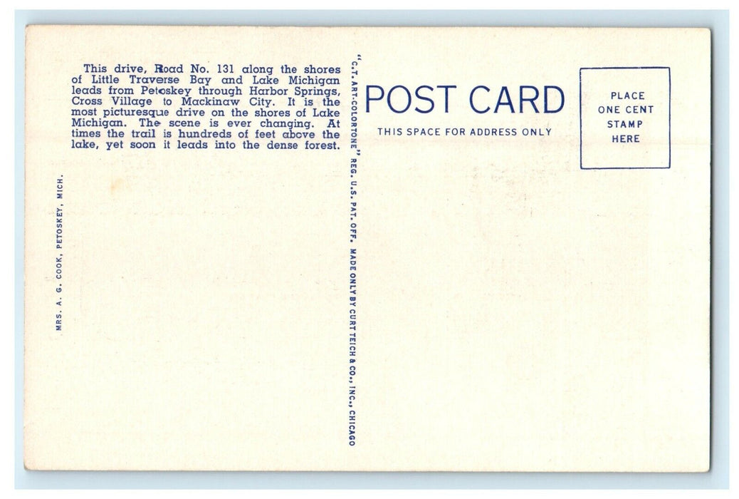 c1930's Horseshoe Bend Lake Shore Drive In Northern Michigan MI Postcard