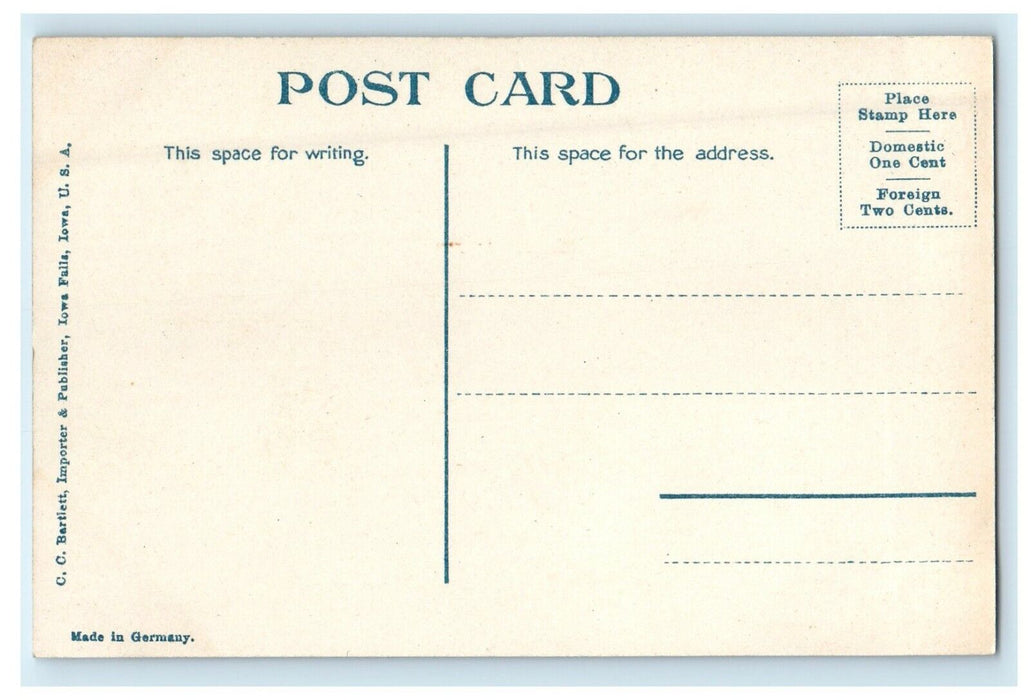 c1910's Carnegie Ellsworth Library Iowa Falls IA Unposted Antique Postcard