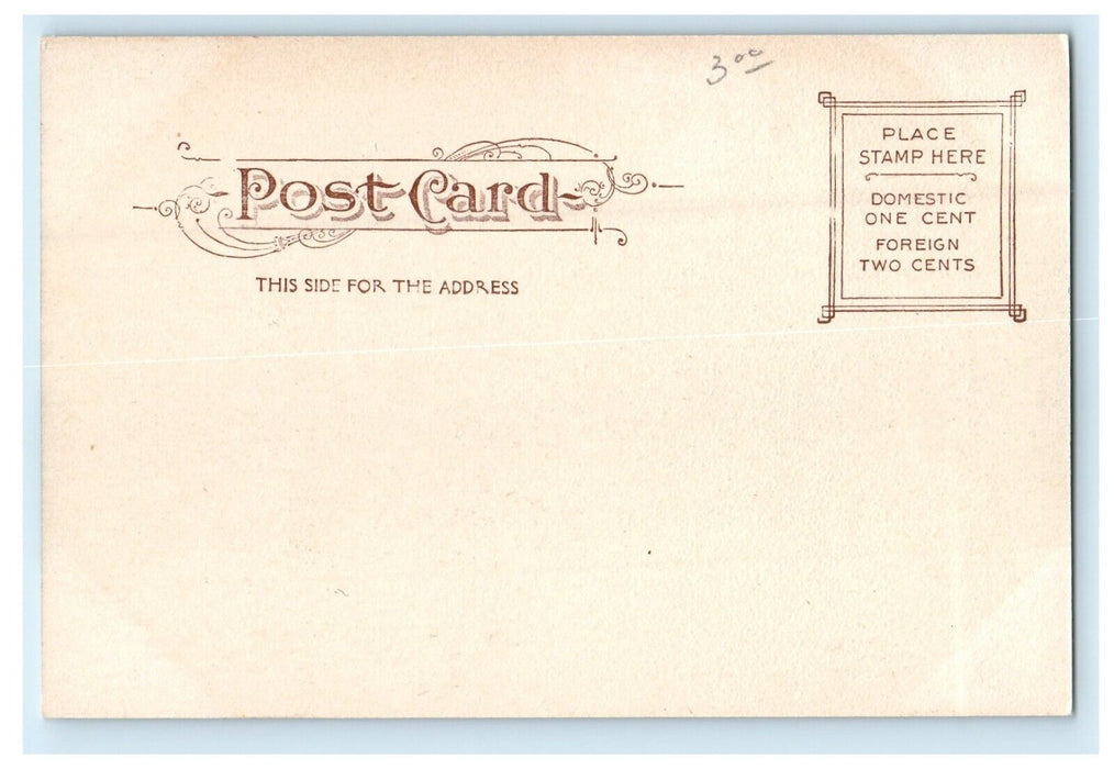 c1905 Kingston City Hospital Kingston New York NY Unposted Antique Postcard