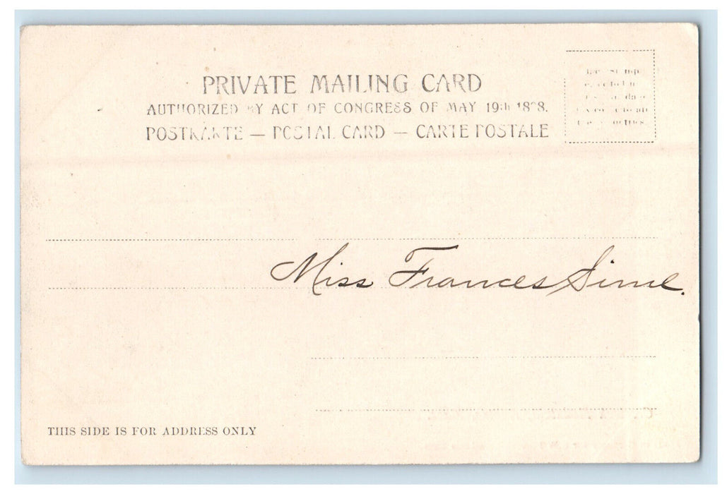 c1900s Greylock Mountain Adams, Massachusetts MA PMC Unposted Postcard