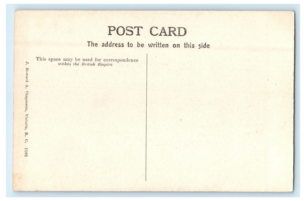 c1910 The Illecillewaet Valley Glacier, BC Canada CA Unposted Postcard