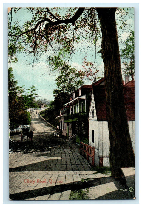 c1910 Cilery Road Quebec Canada CA Unposted Foreign Souvenir Postcard