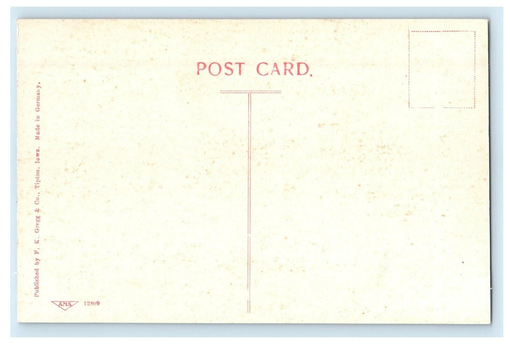 c1910's Public Library And Monument Tipton Iowa IA Unposted Antique Postcard