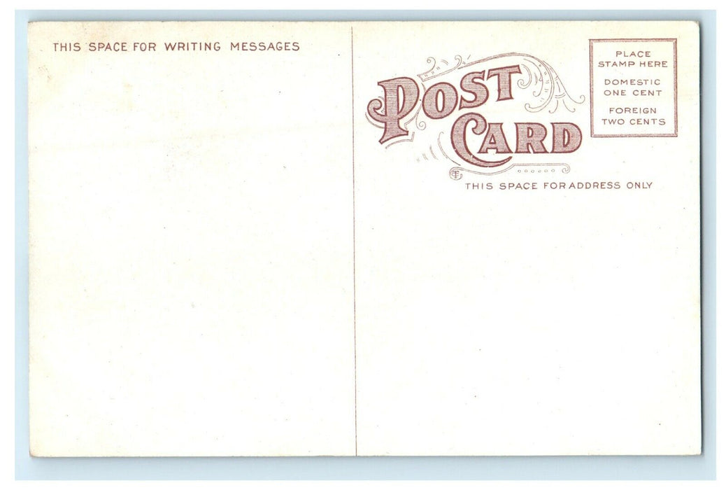 c1910's First Fifth Bridge Waterloo Iowa IA Unposted Antique Postcard