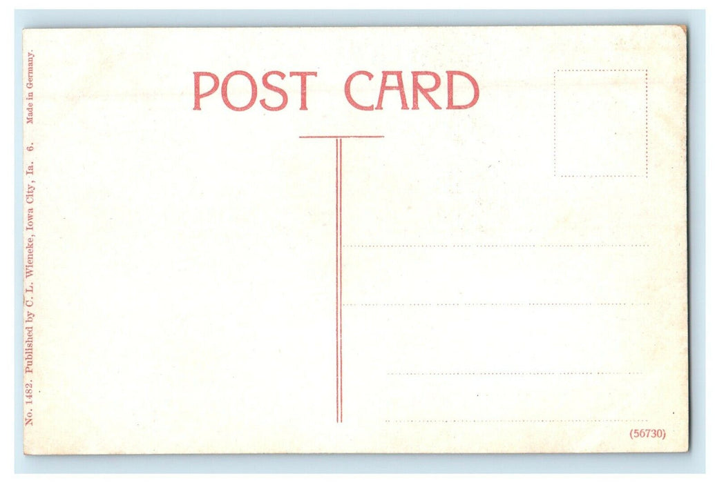 c1910's  Iowa City IA, Public Library Scene Street Trees Front Antique Postcard