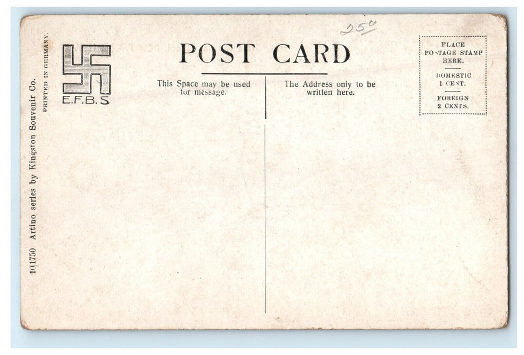 c1910's View Of State Normal School New Paltz New York NY Antique Postcard