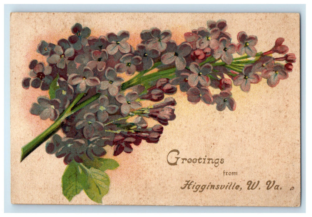 1909 Greetings from Higginsville West Virginia WV Floral Posted Postcard