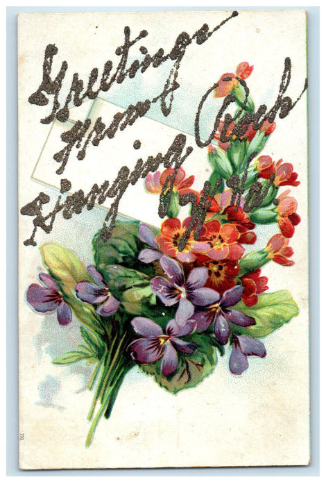 c1910 Greetings from Hanging Rock WV Red and Purple Flower, Glitters Postcard