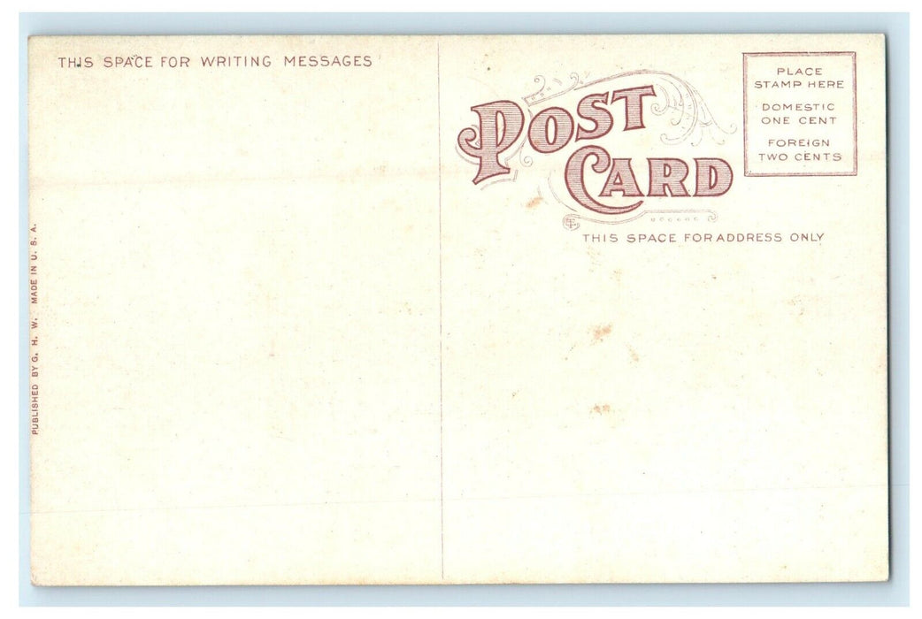 c1910's Main Street View Horse And Buggy Mackinac Island Michigan MI Postcard