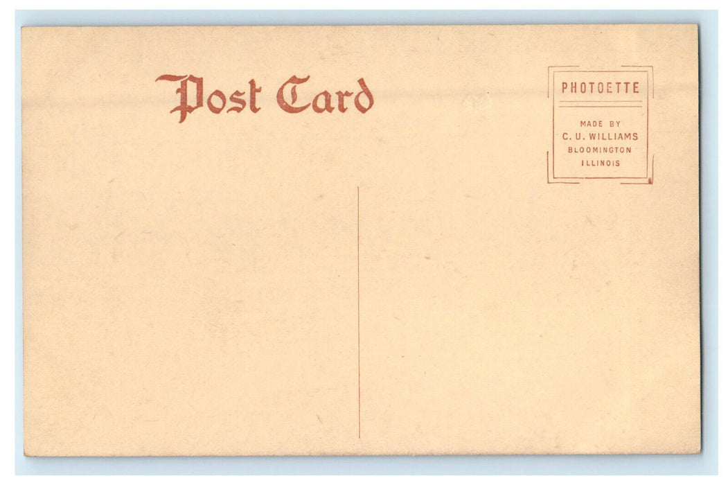 c1910s Schuyler County Court House, Rushville, Illinois IL Unposted Postcard