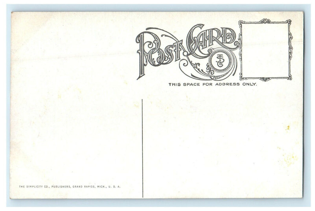 c1910's Library Building Mason City Iowa IA Unposted Antique Postcard
