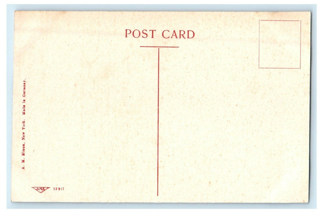 c1910's Library And Opera House Hampton Iowa IA Unposted Antique Postcard
