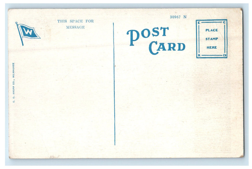 c1910 Steamship Catalina Passing Sugar Loaf Rock at Catalina Island CA Postcard