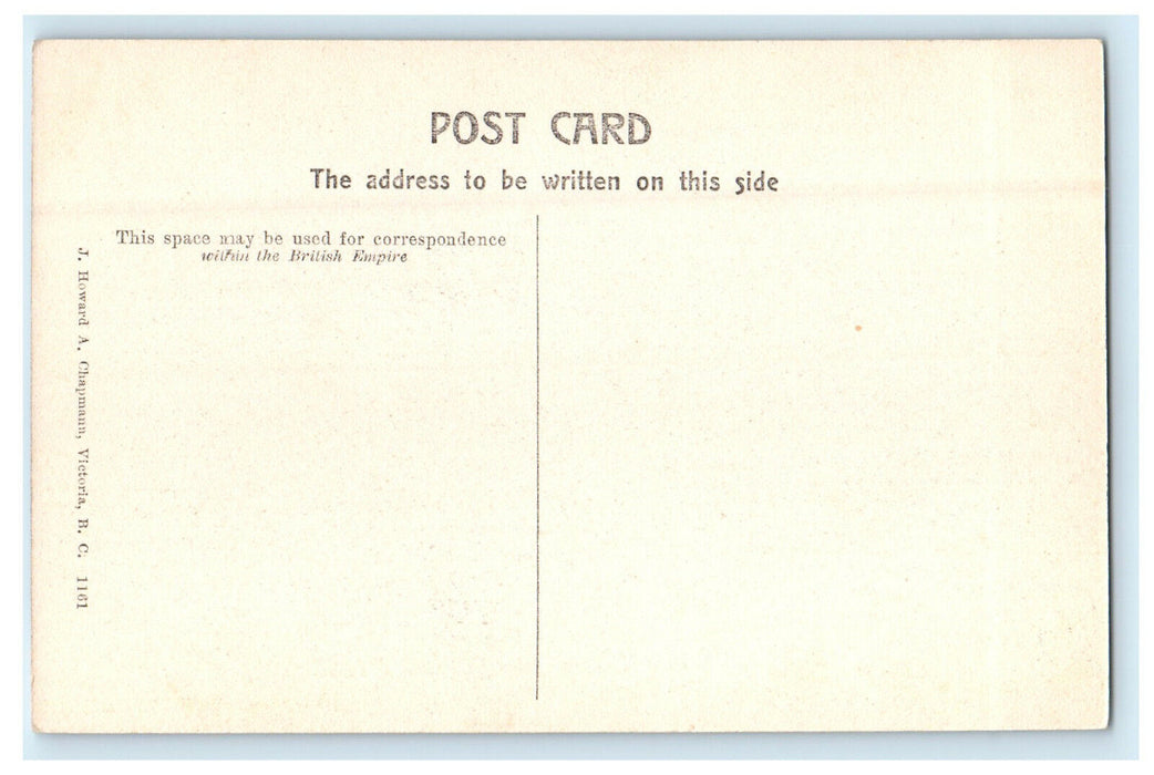 c1910 The Loop Glacier, BC Canada CA Unposted Antique Postcard