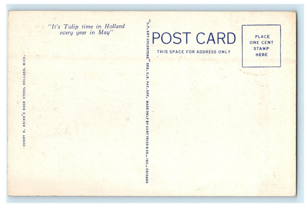 c1930's View Of Tulip Time In Holland Michigan MI Childrens In Cart Dog Postcard