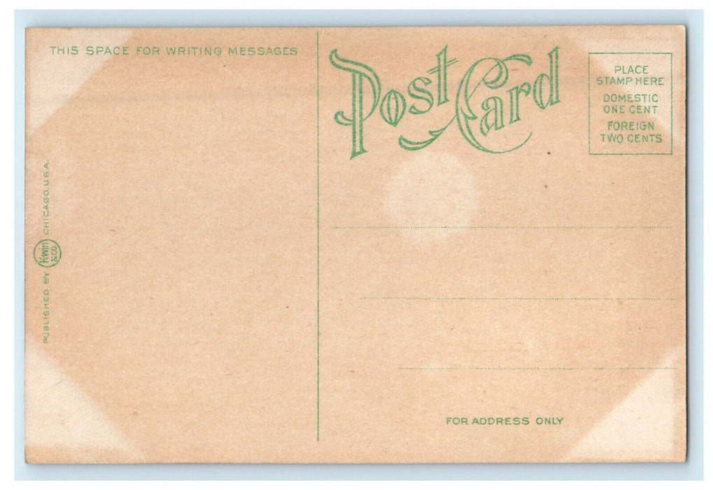 c1910's Public Library Street View Cedar Rapids Iowa IA Antique Postcard