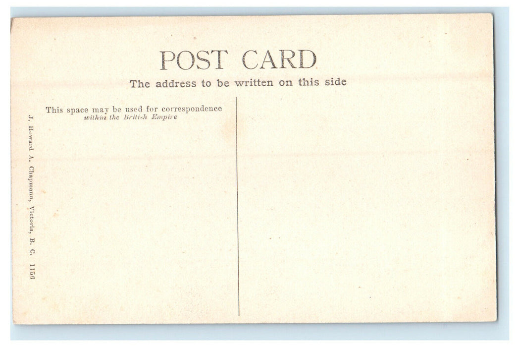 c1910 Near the Summit of the Illecillewaet Glacier, BC Canada CA Postcard