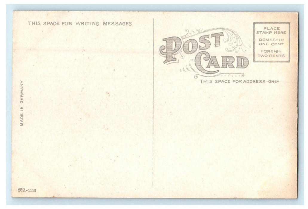 c1920 Carnegie Library Freeport Illinois IL Antique Unposted Postcard