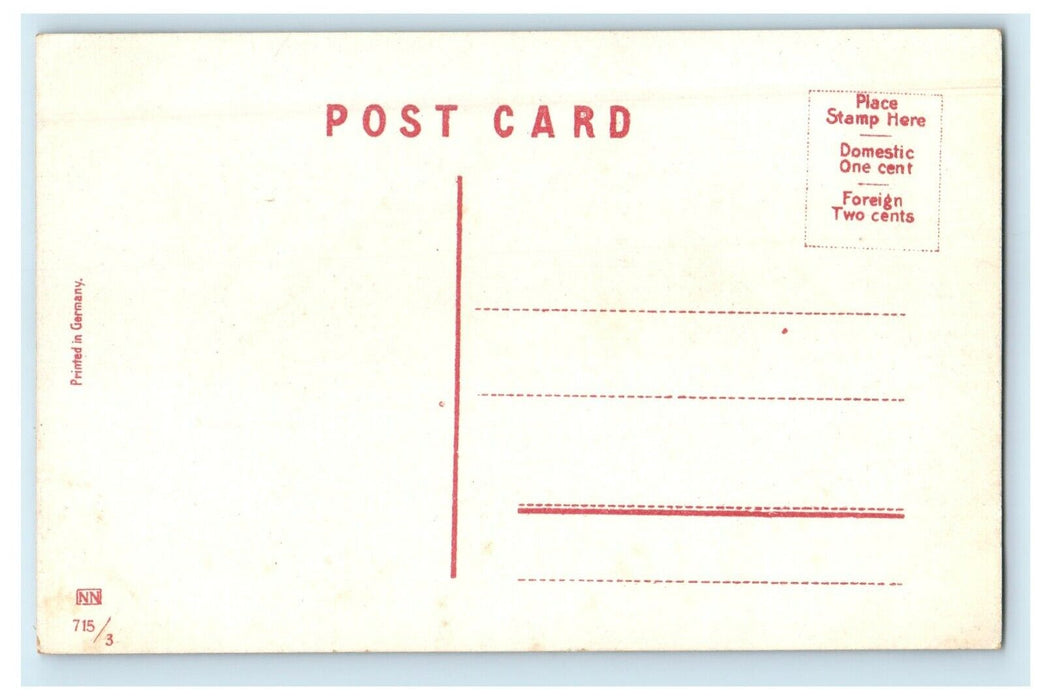 c1910's Public Library Street View Charles City Iowa IA Antique Postcard
