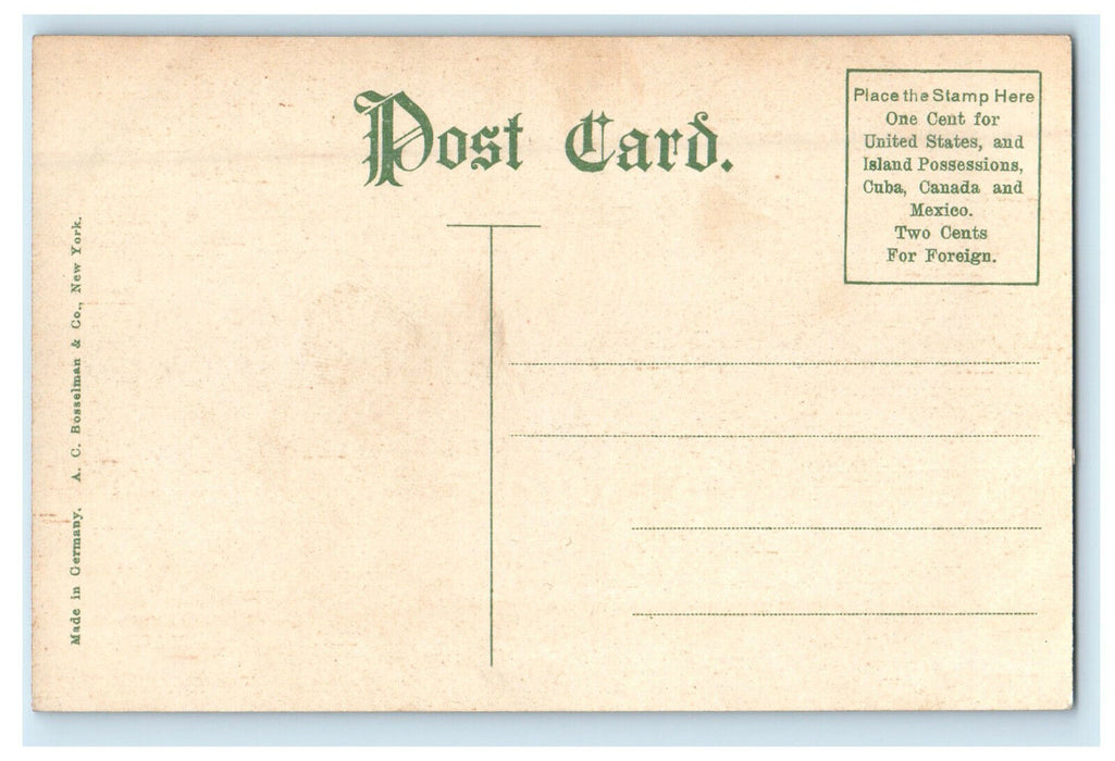 c1910s Court House, Rock Island, Illinois IL Antique Unposted Postcard