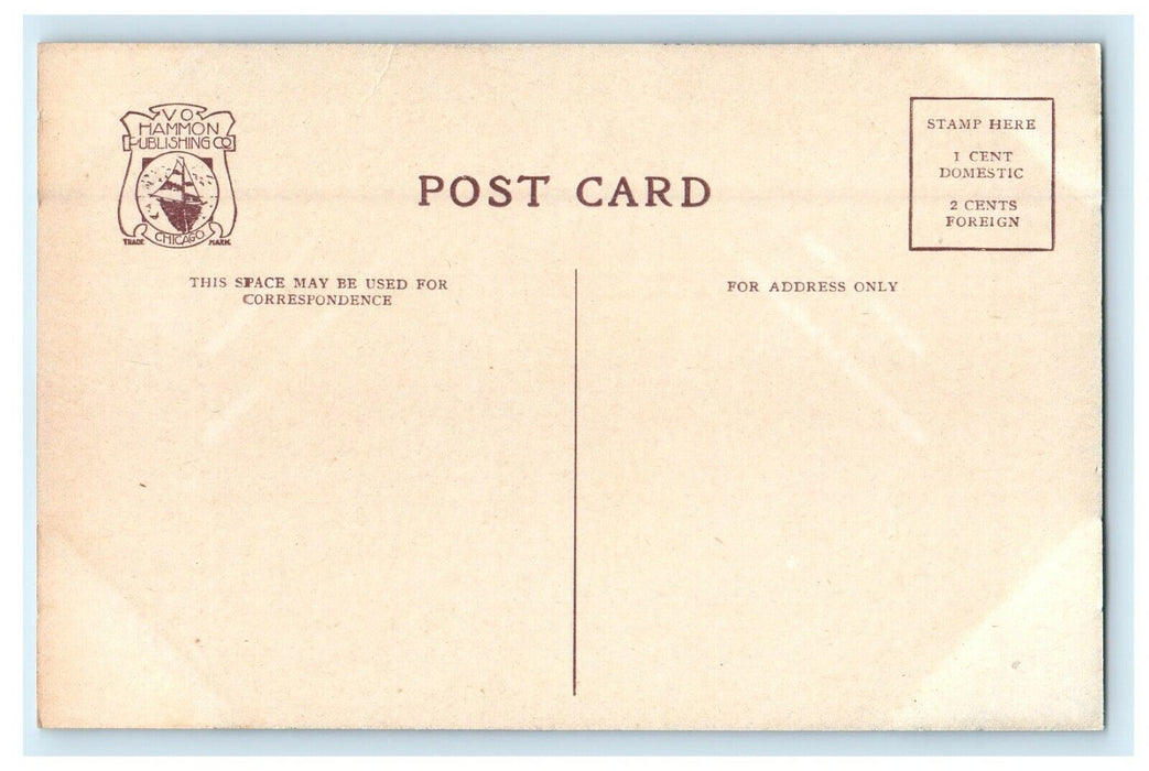 c1910's Lincoln Monument Oakridge Cemetery Springfield Illinois IL Postcard