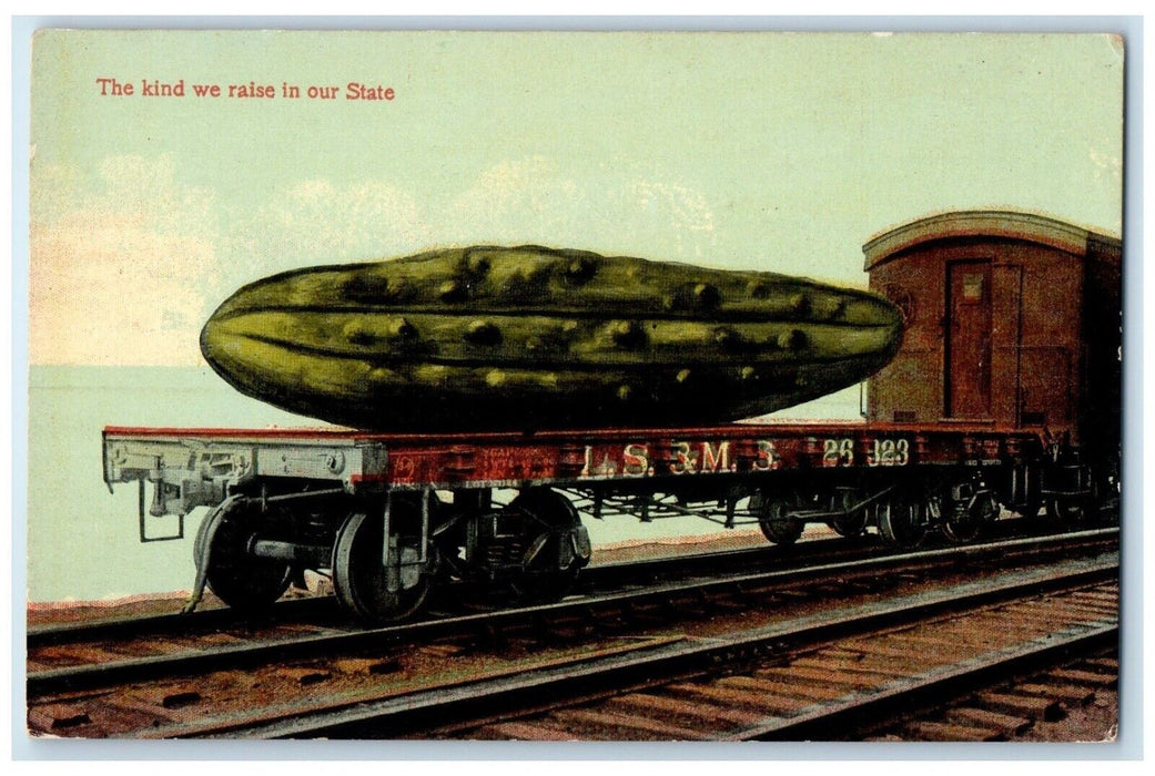 Exaggerated Pickle Cucumber LS & M Train The Kind We Raise In State Postcard