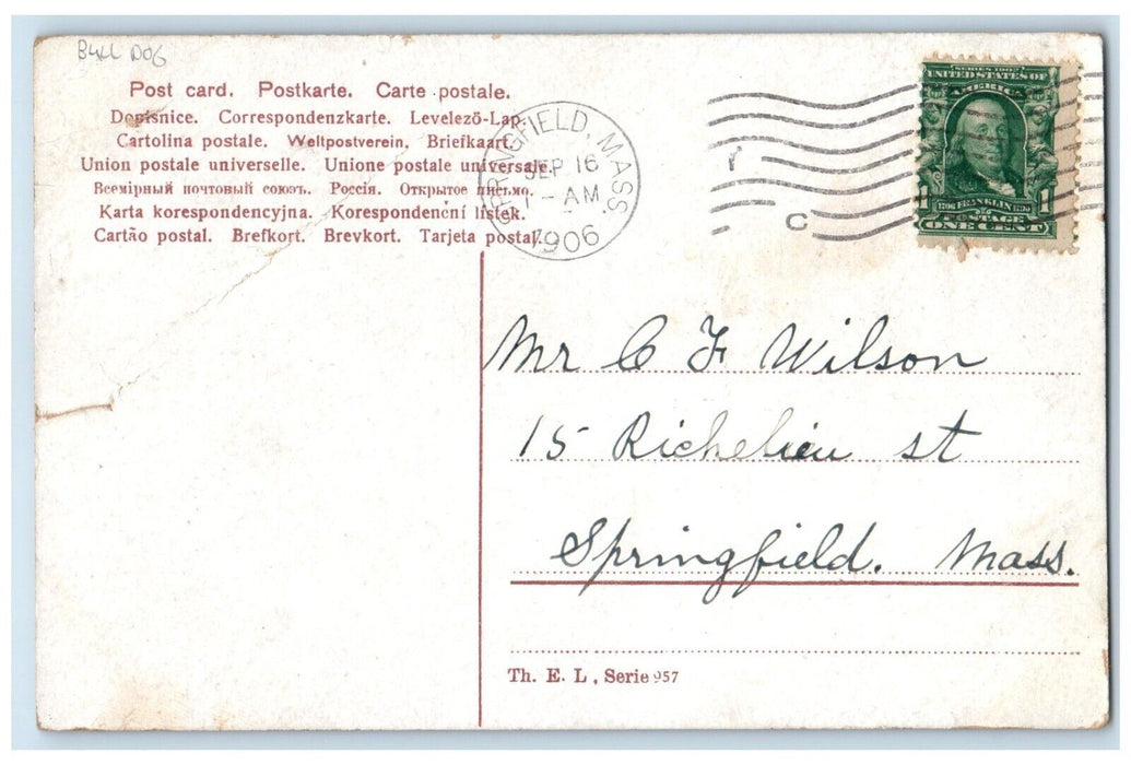1906 Lonely Bulldog On Window Raining Springfield Massachusetts MA Postcard
